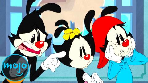 Top 10 Best Animaniacs Characters 