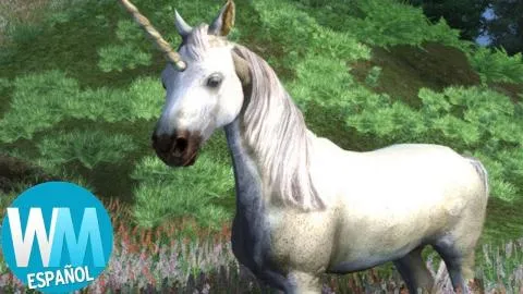 ¡Top 10 Misiones en THE ELDER SCROLLS Que NUNCA Encontraste!