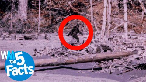 Top 5 Facts About Catching Bigfoot CONFIRMED