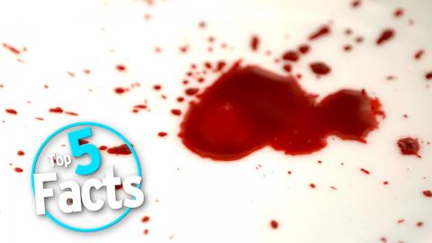 Top 5 Lethal Facts about BLOOD!!