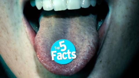 Top 5 Facts: MDMA