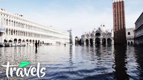 Trivia Game - Top 10 Animals Threatened by Climate Change