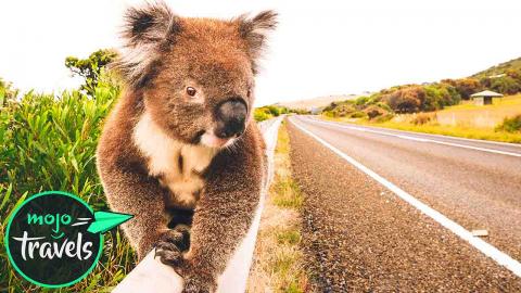 Top 10 Road Trips in Australia