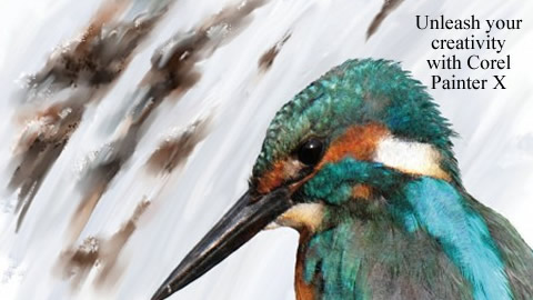 Corel Painter X Software