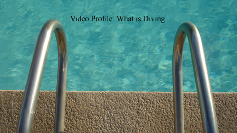 Learn All About Diving