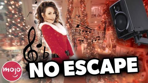 Trivia Game - Top 5 Chipmunk Facts