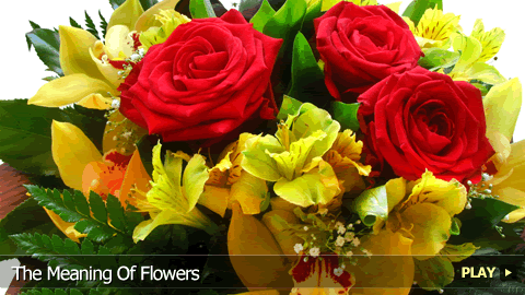 The Symbolic Meaning Of Flowers