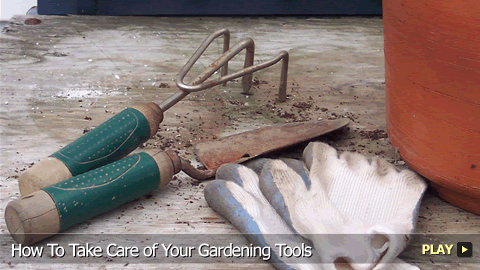 How To Take Care of Your Gardening Tools