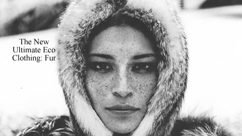 Harricana: Recycled Fur