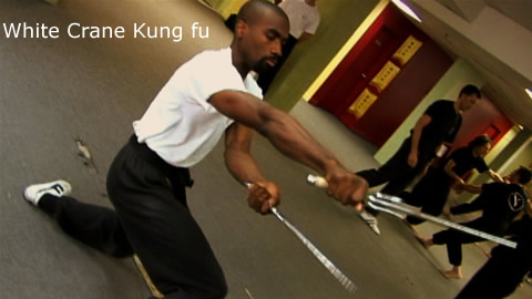 White Crane Kung Fu