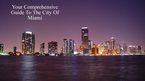 Travel To The City of Miami