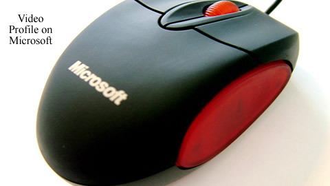 Video Profile On Microsoft