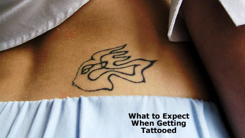 Beginner's Guide to Getting a Tattoo