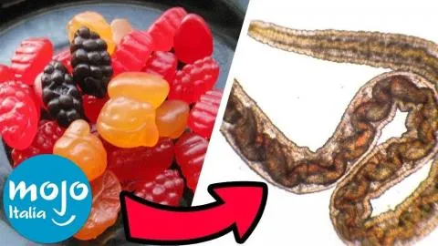 TOP 10 LEGGENDE METROPOLITANE più ASSURDE sul CIBO!