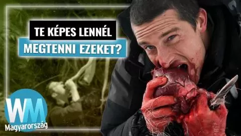 Top 20 őrületes Bear Grylls pillanat