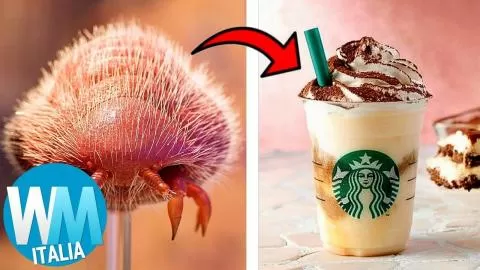Top 10 CURIOSITÁ più SCHIFIDE sul CIBO!