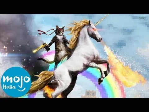 TOP 10 ANIMALI con le ABILITÀ più ASSURDE!
