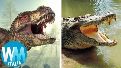 TOP 10 ANIMALI IN GIRO DA MILIONI DI ANNI!
