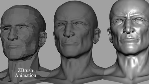 Process Of Animation