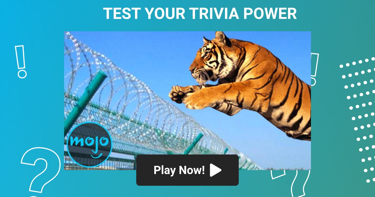 WatchMojo Trivia Top 10 Greatest Zoo Animal Escapes