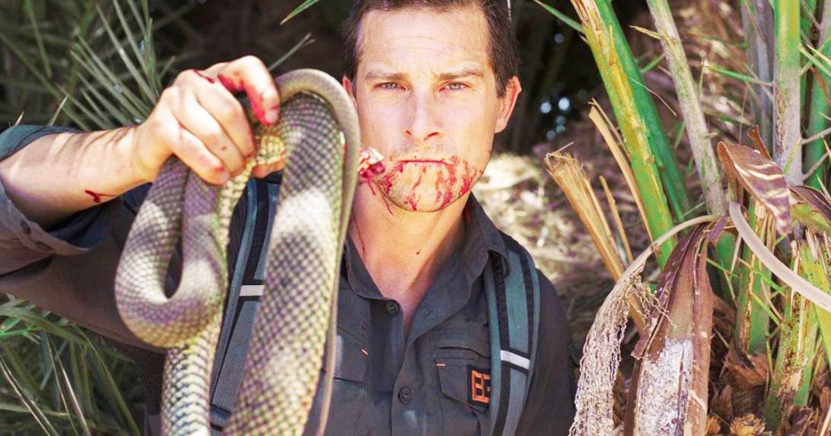 Top 10 Insane Bear Grylls Moments | Articles on WatchMojo.com
