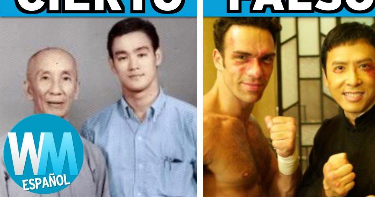 Top 10 Cosas CIERTAS y FALSAS En Las Películas de IP MAN | Articles on