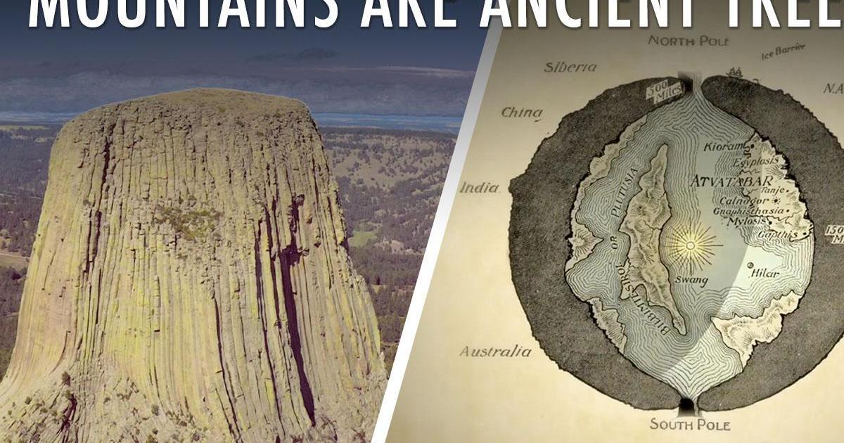 The Strange Theory That Mountains Are Trees (+ Other Bizarre Mysteries) | Articles on WatchMojo.com
