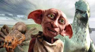 Top 10 Fantastic Harry Potter Creatures