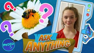 What Do Bees Like About Flowers?
