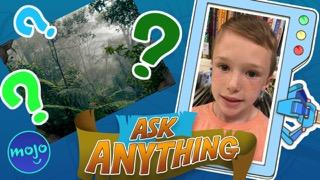 What Is The Rainforest?