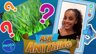 Why is the Grass Green?