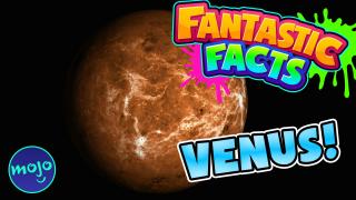 BEAUTIFUL VENUS! - Mini Fantastic Facts!