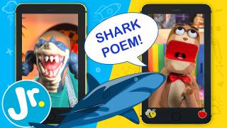 How to make a scary SHARK poem - CHATTY TIME