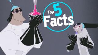 Top 5 Facts About Perfumes 