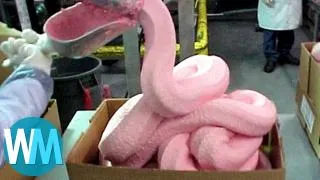 TOP 10 de PRODUITS ALIMENTAIRES DANGEREUX  AUTORISÉS uniquement aux USA !