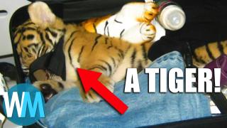 Top 10 Craziest Things Found by Airport Security