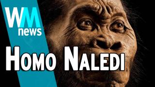 10 Homo Naledi Discovery Facts - WMNews Ep. 45