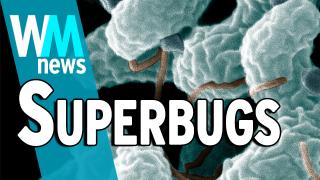 10 Superbugs and Antimicrobial Resistance Facts - WMNews Ep. 49