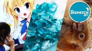 Anime Fights STDs, Medieval Leprosy Lives & Mailing Meth: The Dispatch #40