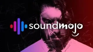 Chair Warriors Liars