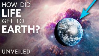 Did Scientists Just Discover the True Origin of Life? | Unveiled