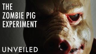 Did Scientists Just Prove Life After Death - With Zombie Pigs? | Unveiled