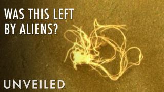 Is This Space Spaghetti Proof of Alien Life on Mars? | Unveiled