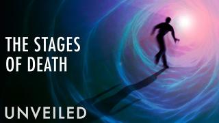 What Happens After We Die? | Unveiled