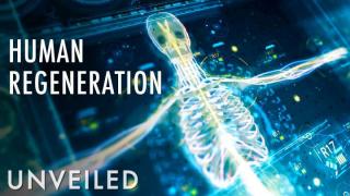 What If Humans Could Regenerate? | Unveiled