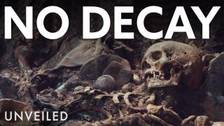 What If Nothing Decomposed? | Unveiled
