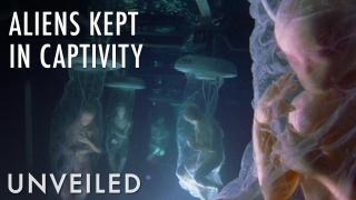 What If We Had Alien Zoos? | Unveiled