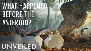 What Was Earth Like Before the Dinosaurs Were Killed? | Unveiled