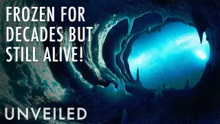 Haunting Discoveries Found in Ice | Unveiled
