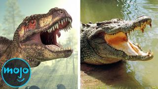 Top 10 Animals That Survived What Dinosaurs Couldn